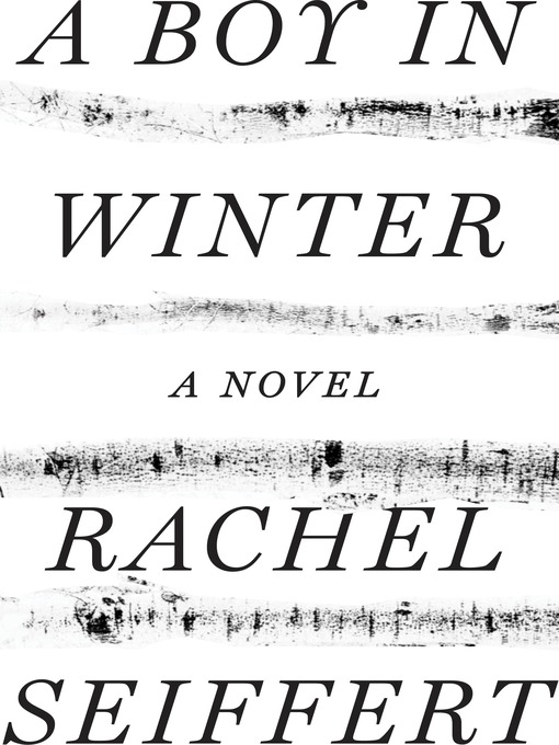 Cover image for A Boy in Winter